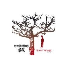My Cold Embrace/Rapture - Schnittmenge - split EP - 2009